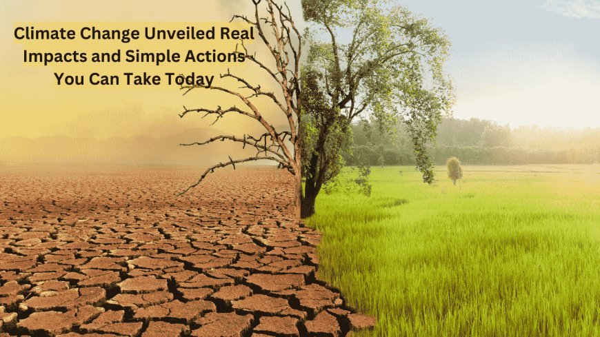 Climate Change Unveiled: Real Impacts and Simple Actions You Can Take Today